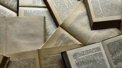 Davidsfonds Academie : "De kracht van literatuur. Teksten die ertoe doen"
