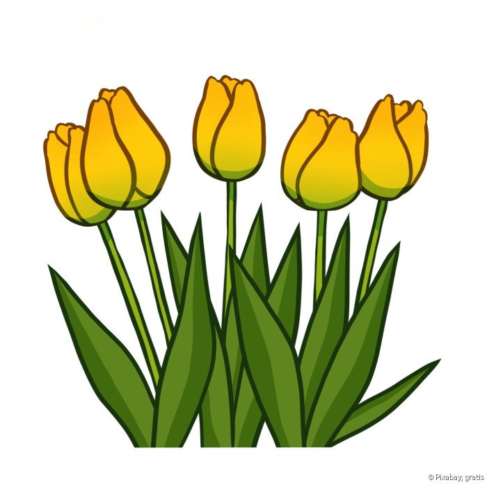 Paasbloemen