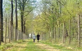 Bezoek Vloethemveld