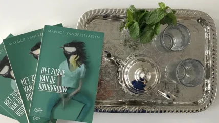 Boekverslag: ‘Het zusje van de buurvrouw’ van Margot Vanderstraeten