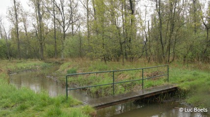Natuurwandeling Rammelaars Ham