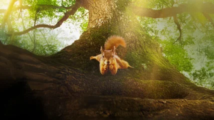Le chêne (Heart of an Oak) | Filmavond zingeving, geloof en spiritualiteit