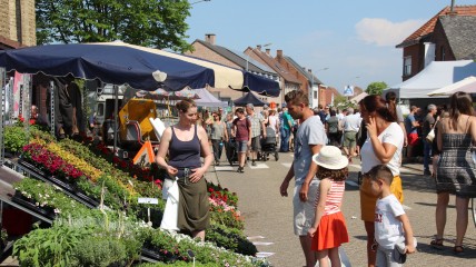 Plantenbeurs Grasheide