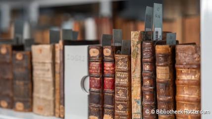 Hoe een Vlaming Erasmus in Rotterdam groot maakte