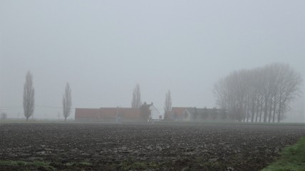 Herfstwandeling