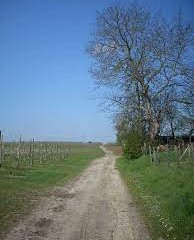 Lezing door Robert Nouwen : De Romeinse Heirbaan