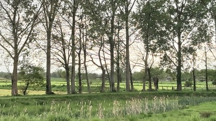 Deelname aan historische stoet 800 jaar Sleidinge